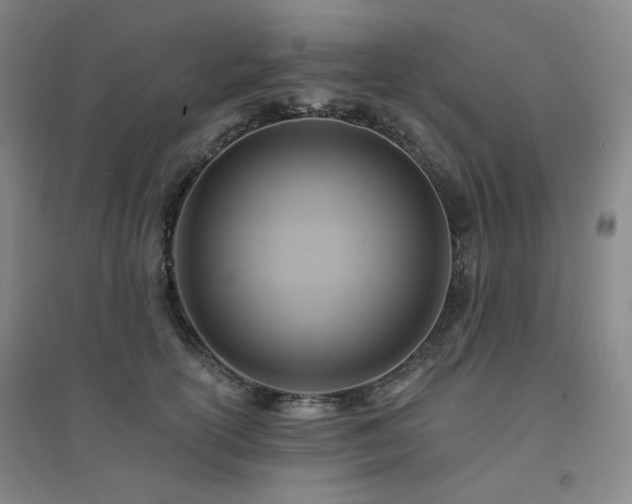 X0000094420754200711151320