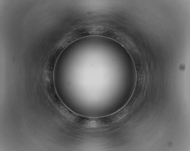 X0000094420755200711151320