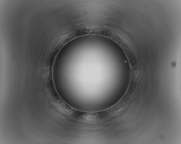 X0000094420756200711151320