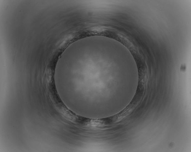 X0000094420758200711151320