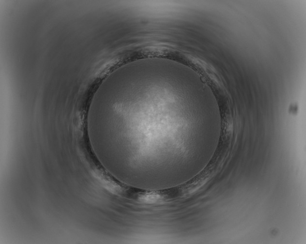 X0000094420759200711151320