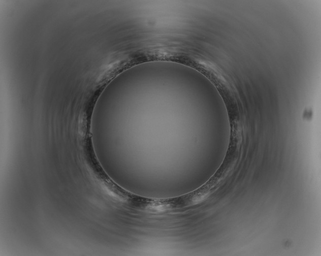 X0000094420760200711151320