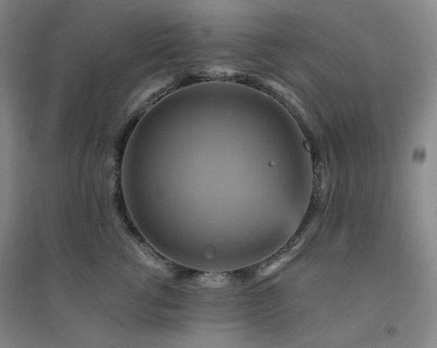X0000094420762200711151320