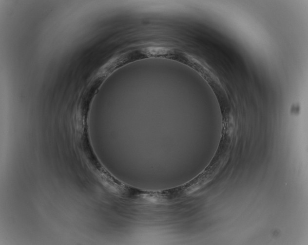 X0000094420763200711151320
