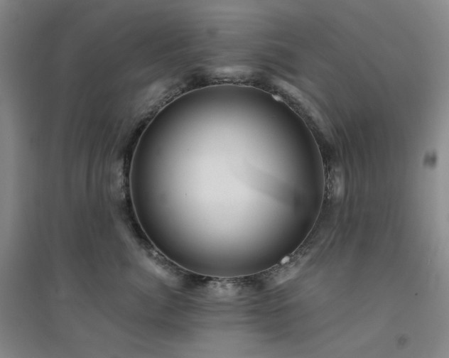 X0000094420764200711151320