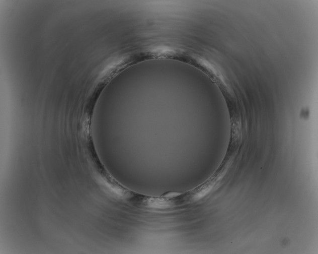 X0000094420766200711151320