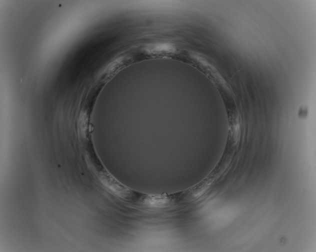 X0000094420767200711151320