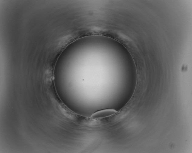 X0000094420768200711151320