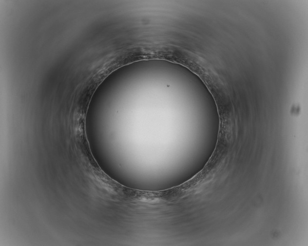 X0000094420770200711151319