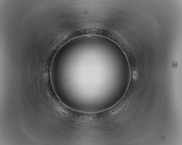 X0000094420771200711151319