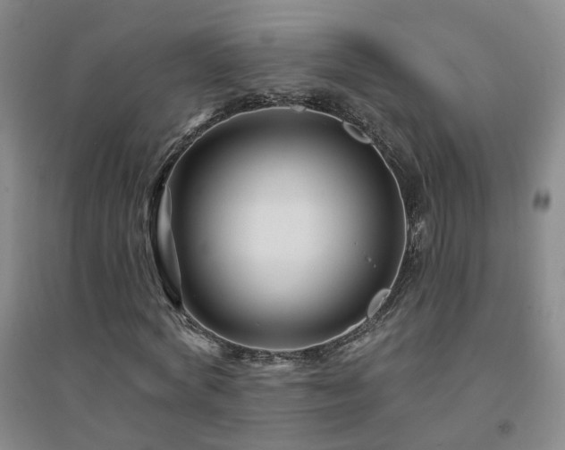 X0000094420772200711151319