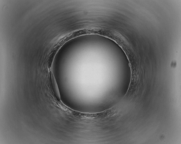 X0000094420773200711151319