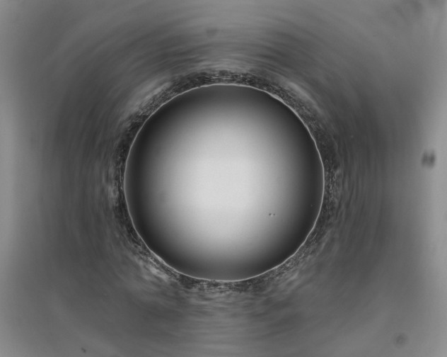 X0000094420774200711151319