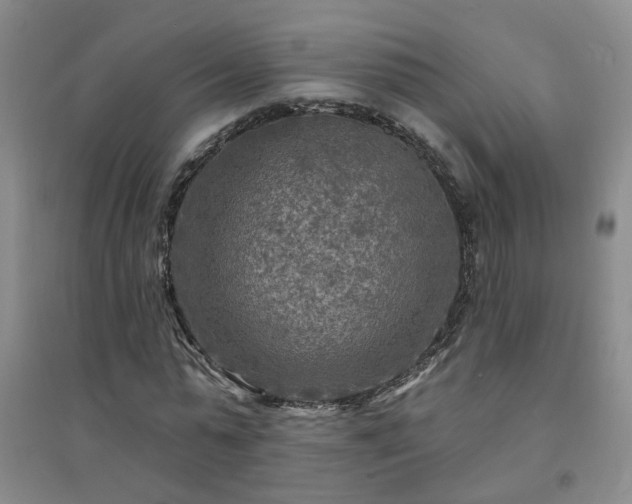 X0000094420775200711151319