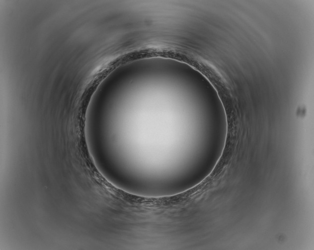 X0000094420776200711151319
