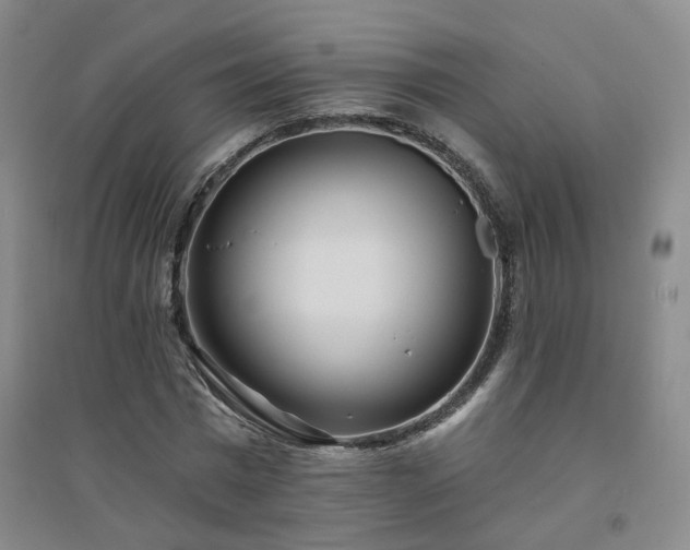 X0000094420777200711151319