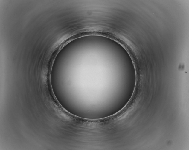 X0000094420778200711151319