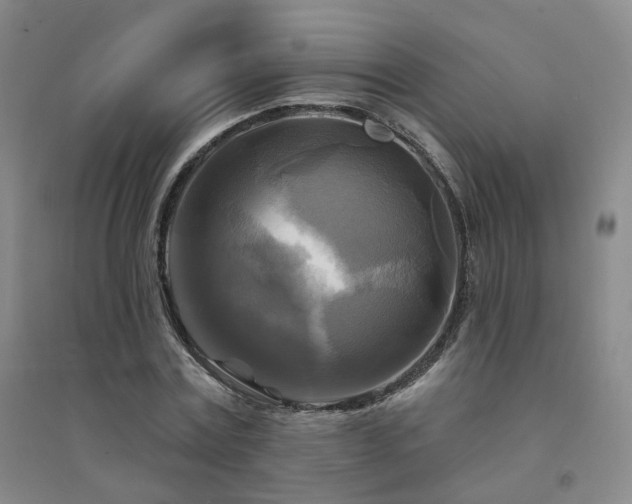 X0000094420779200711151319