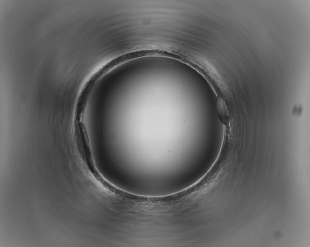 X0000094420780200711151319