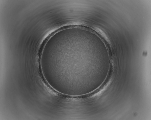 X0000094420781200711151319