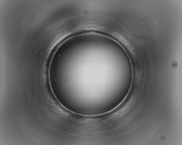 X0000094420782200711151319