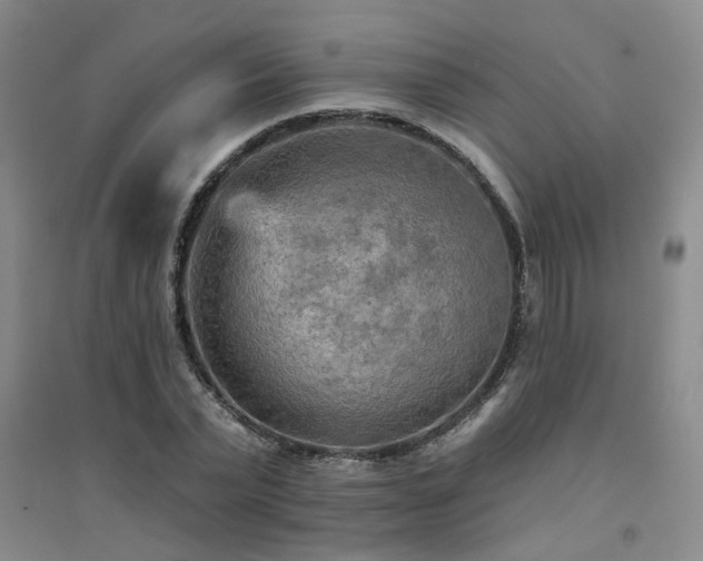 X0000094420783200711151319