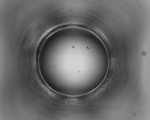 X0000094420784200711151319