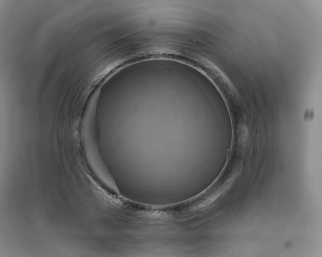 X0000094420785200711151319