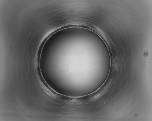 X0000094420787200711151319
