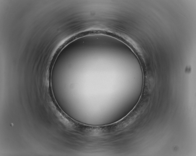 X0000094420791200711151319