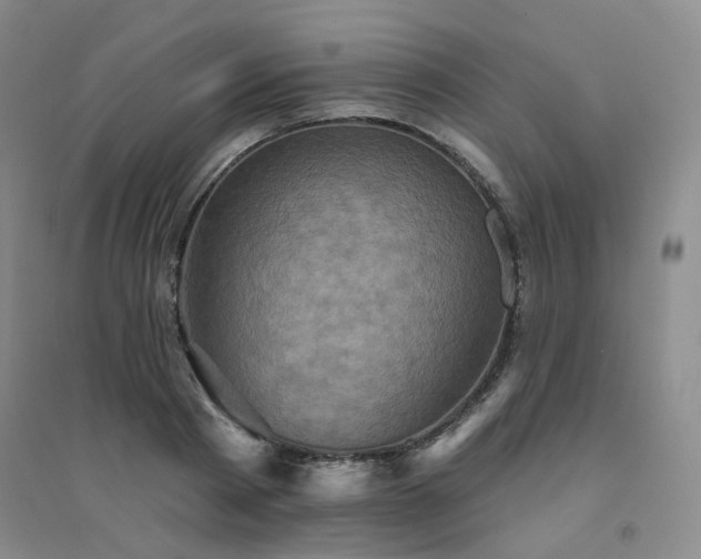 X0000094420793200711151319