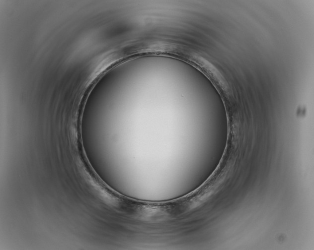 X0000094420794200711151319