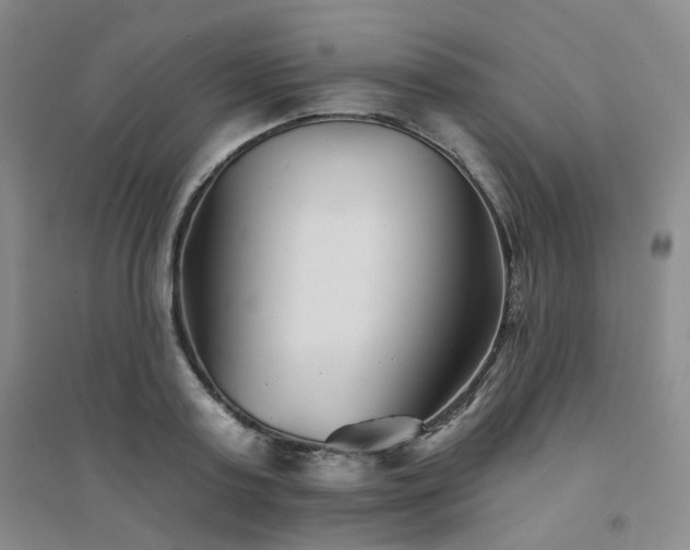X0000094420795200711151319