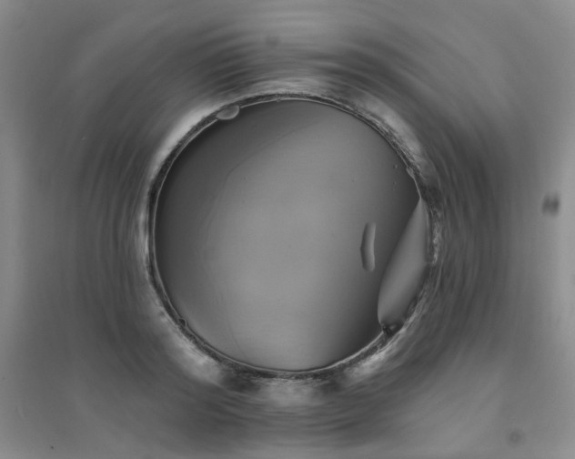 X0000094420796200711151319