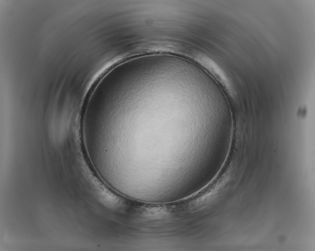 X0000094420798200711151319