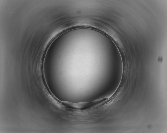 X0000094420799200711151319