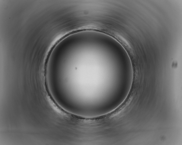 X0000094420800200711151319