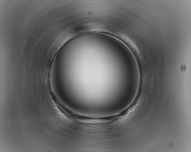 X0000094420801200711151319