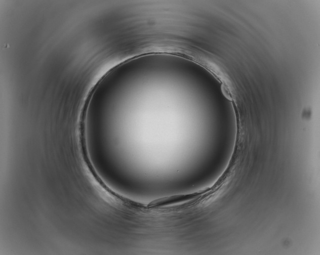 X0000094420803200711151319
