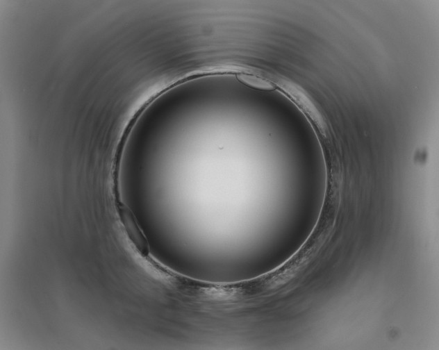 X0000094420805200711151319