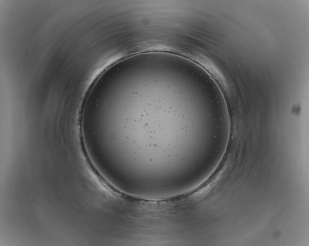 X0000094420806200711151319