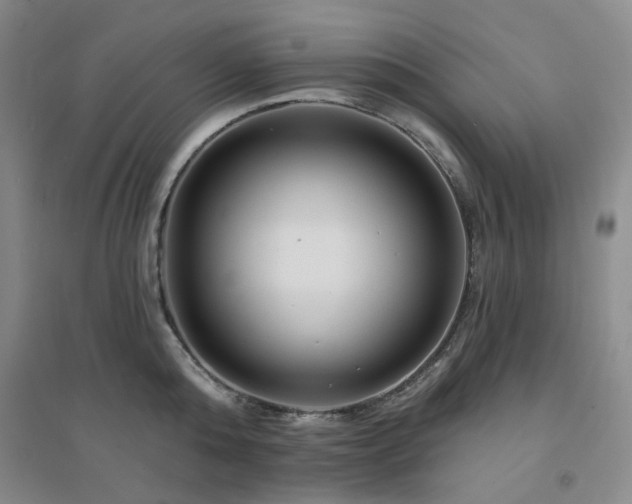 X0000094420808200711151319