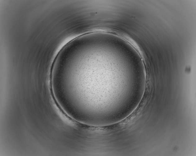 X0000094420811200711151319