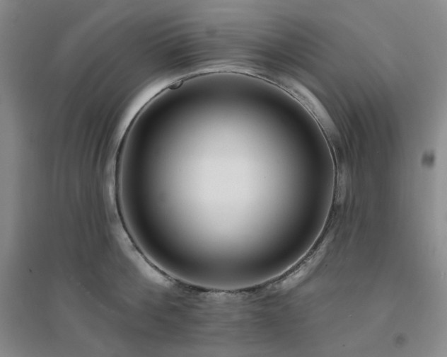 X0000094420812200711151319