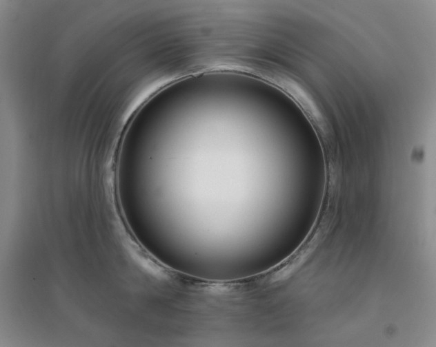 X0000094420814200711151319