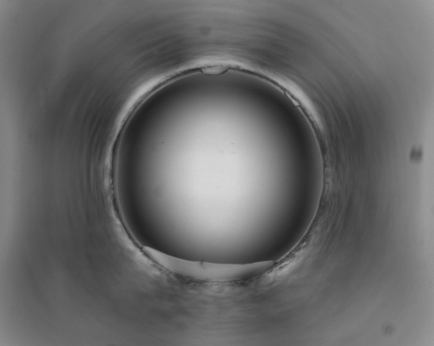 X0000094420815200711151319