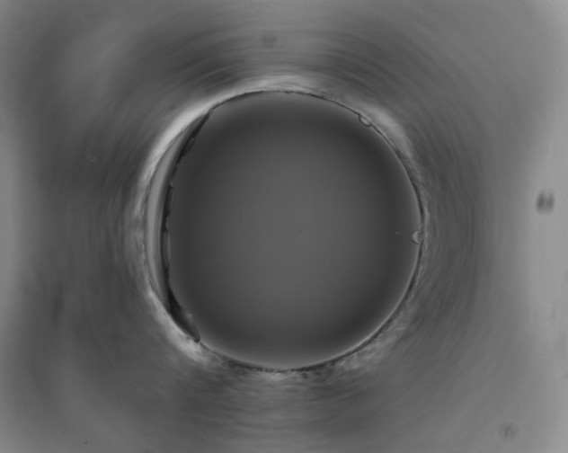X0000094420816200711151319