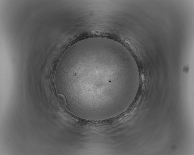 X0000094420817200711151318