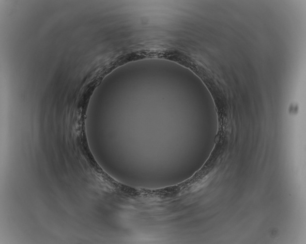 X0000094420818200711151318