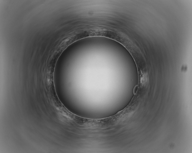 X0000094420819200711151318